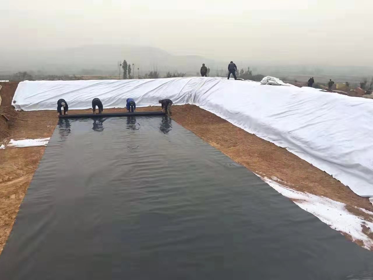  為何通常推薦養(yǎng)殖大戶(hù)應(yīng)用黑色的土工膜？